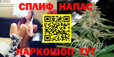 Альфа ПВП Обь