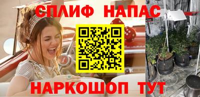 Альфа ПВП Обь