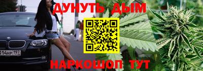 Альфа ПВП Обь