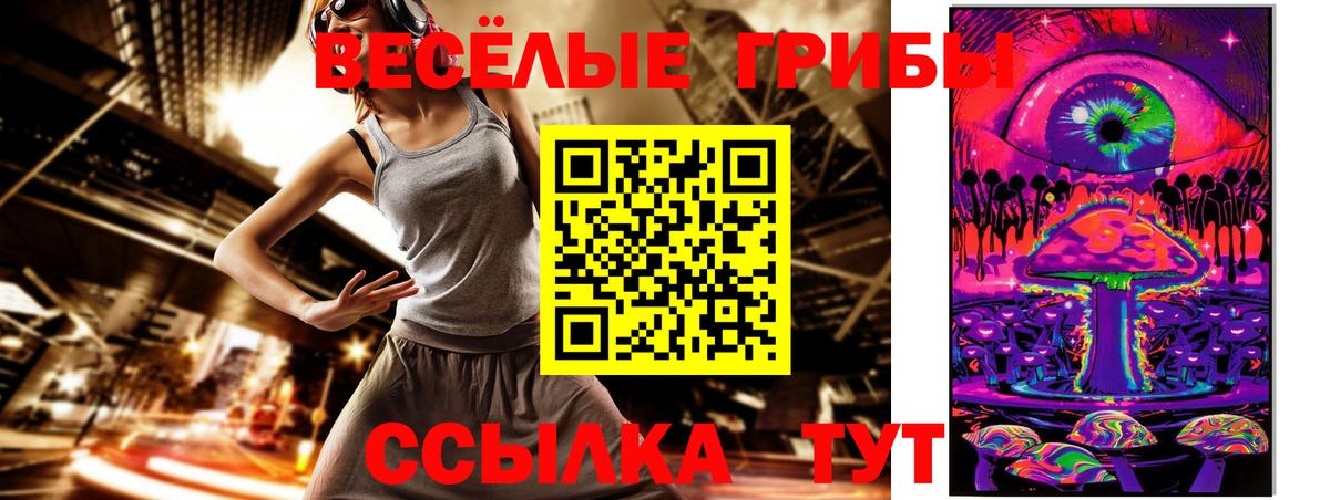 Псилоцибиновые грибы GOLDEN TEACHER  Галлюциногенные грибы Psilocybine cubensis  магазин продажи   Вход с VPN  Советск 